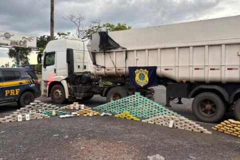 Polícias apreendem 367 tabletes de drogas em caminhão na BR-070
