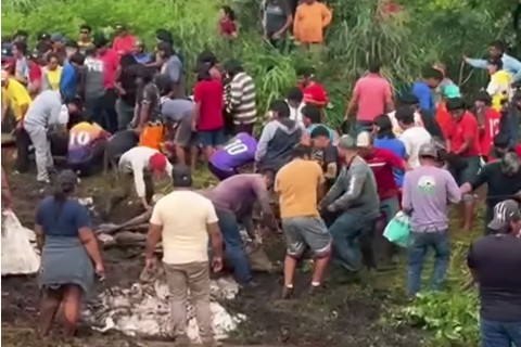 Um caminhão carregado de gado tombou no km 89 da BR-070, no final da madrugada de sexta-feira (27/3)