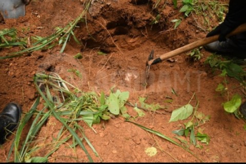 Mais dois corpos são encontrados em cemitério clandestino em Rondonópolis