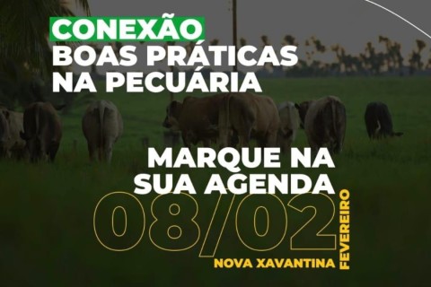 Sebrae/MT e TNC abrem novas vagas para adesão à projeto gratuito de assessoria em boas práticas na pecuária, inscrições vão até final do mês