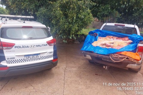 POLÍCIA MILITAR FAZ APREENSÃO DE CARNE CLANDESTINA EM AÇÃO CONJUNTA DO GAP E NPM DE TORIXORÉU