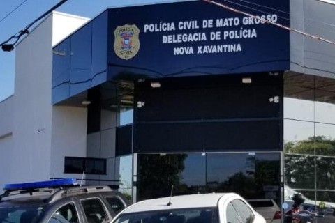 Polícia Civil recupera gado furtado de propriedades rurais em Nova Xavantina